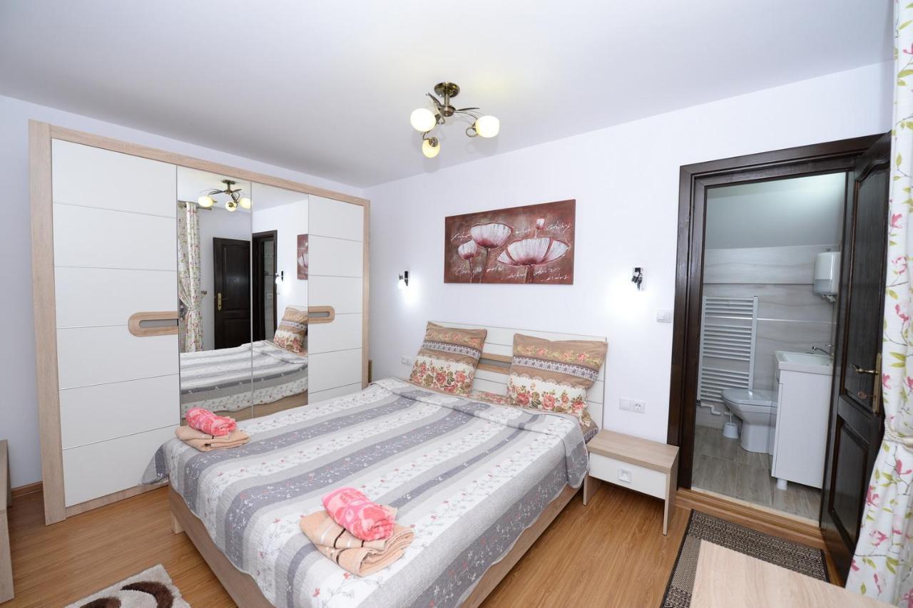 מלון וטרה דורניי Casa Teo&Andreea מראה חיצוני תמונה